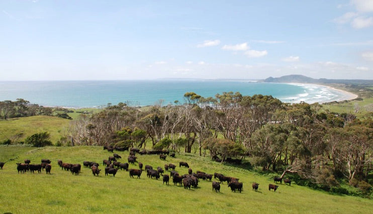 Bass Strait