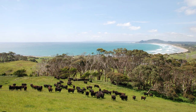 Image for Bass Strait