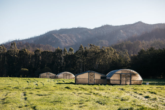 Image for Fogline Farm