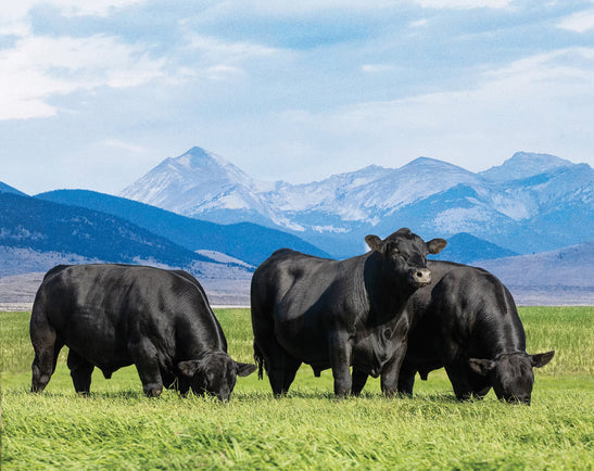 Image for Riverbend Ranch